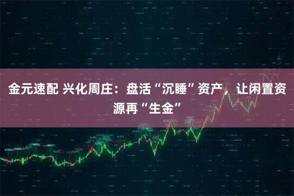 金元速配 兴化周庄：盘活“沉睡”资产，让闲置资源再“生金”
