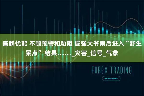 盛鹏优配 不顾预警和劝阻 倔强大爷雨后进入“野生景点” 结果……_灾害_信号_气象