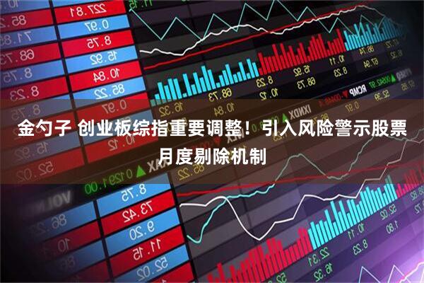 金勺子 创业板综指重要调整！引入风险警示股票月度剔除机制
