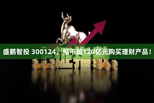 盛鹏智投 300124，拟不超120亿元购买理财产品！